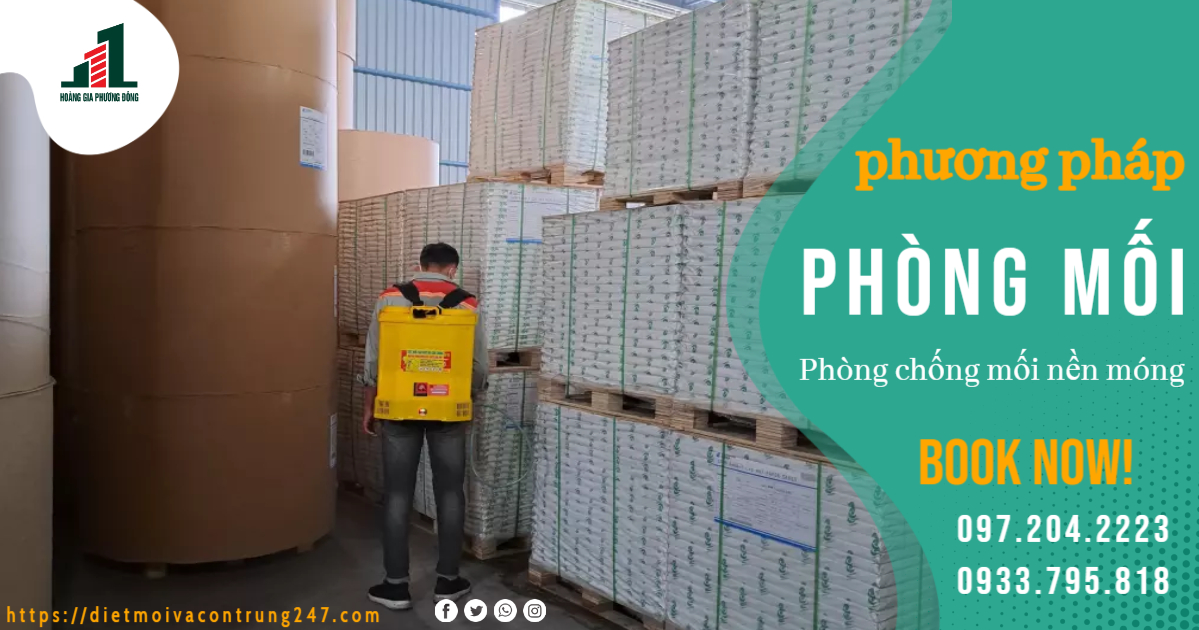 PHƯƠNG PHÁP PHÒNG CHỐNG MỐI NỀN MÓNG